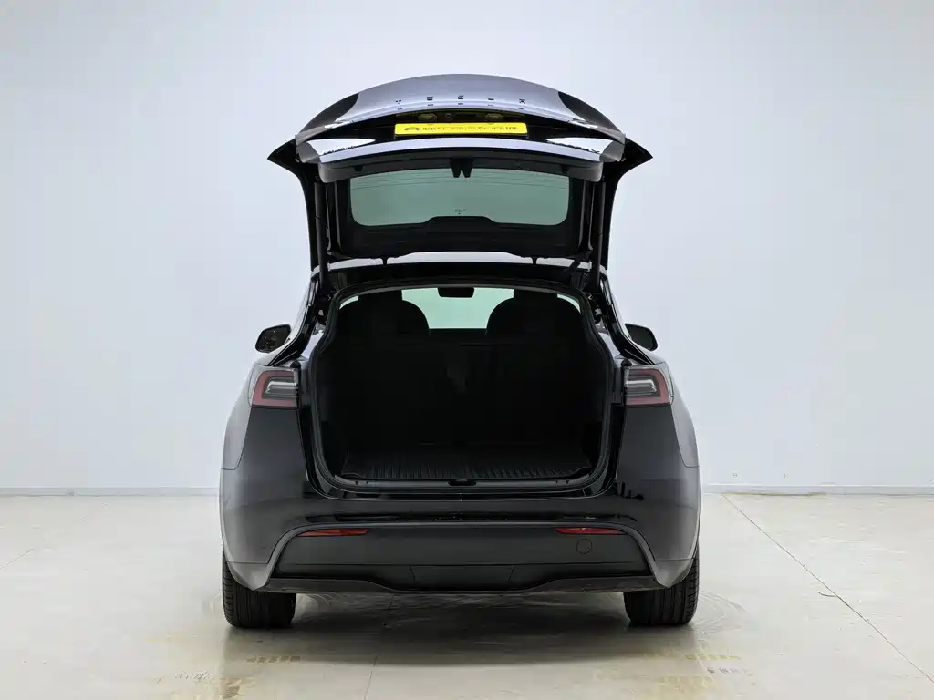 Tesla Model Y — миниатюра 14