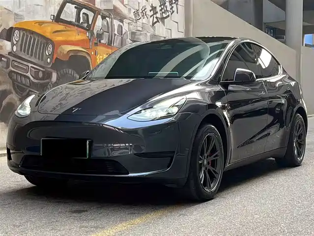 TESLA MODEL Y 2024