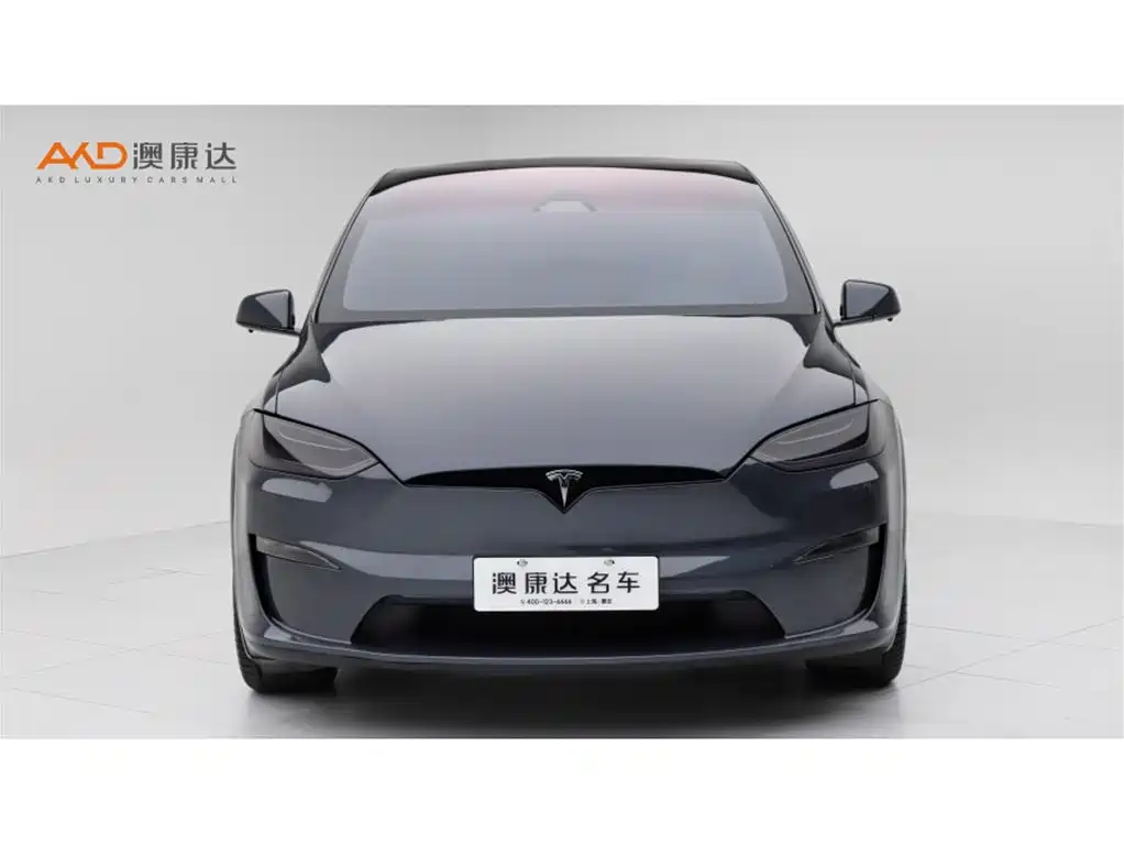Tesla Model X — миниатюра 2