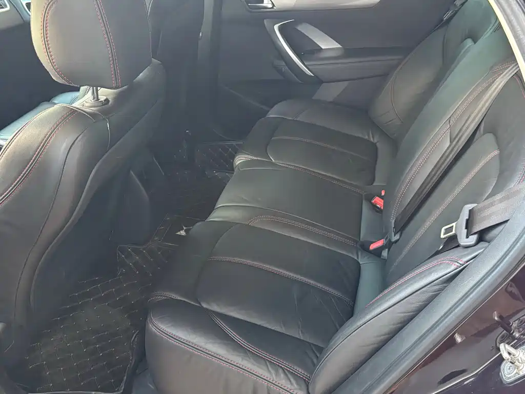 DS DS 5LS — миниатюра 16