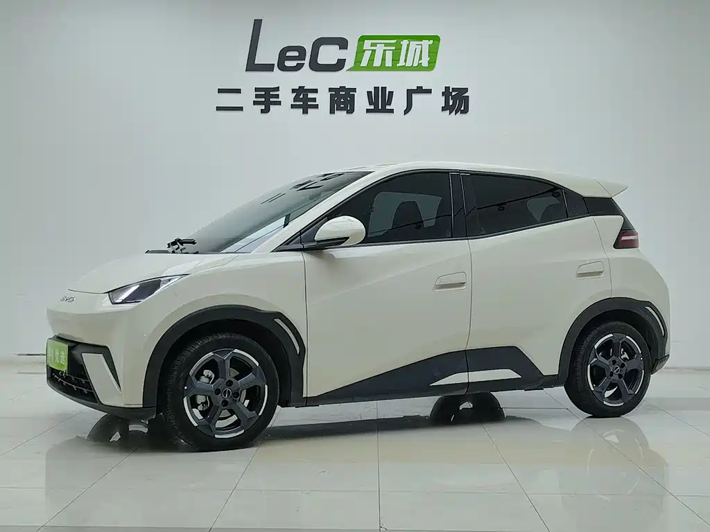 Byd Seagull 2024