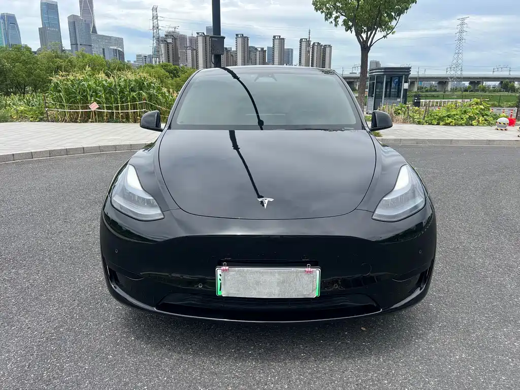 Tesla Model Y — миниатюра 2
