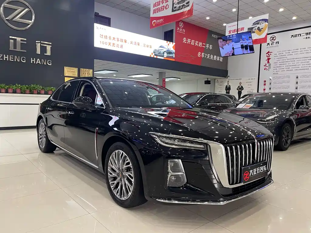 Hongqi Hongqi H5 2024