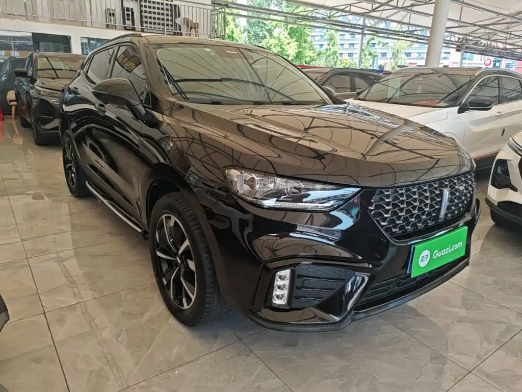 Wey Wey VV5 — миниатюра 4