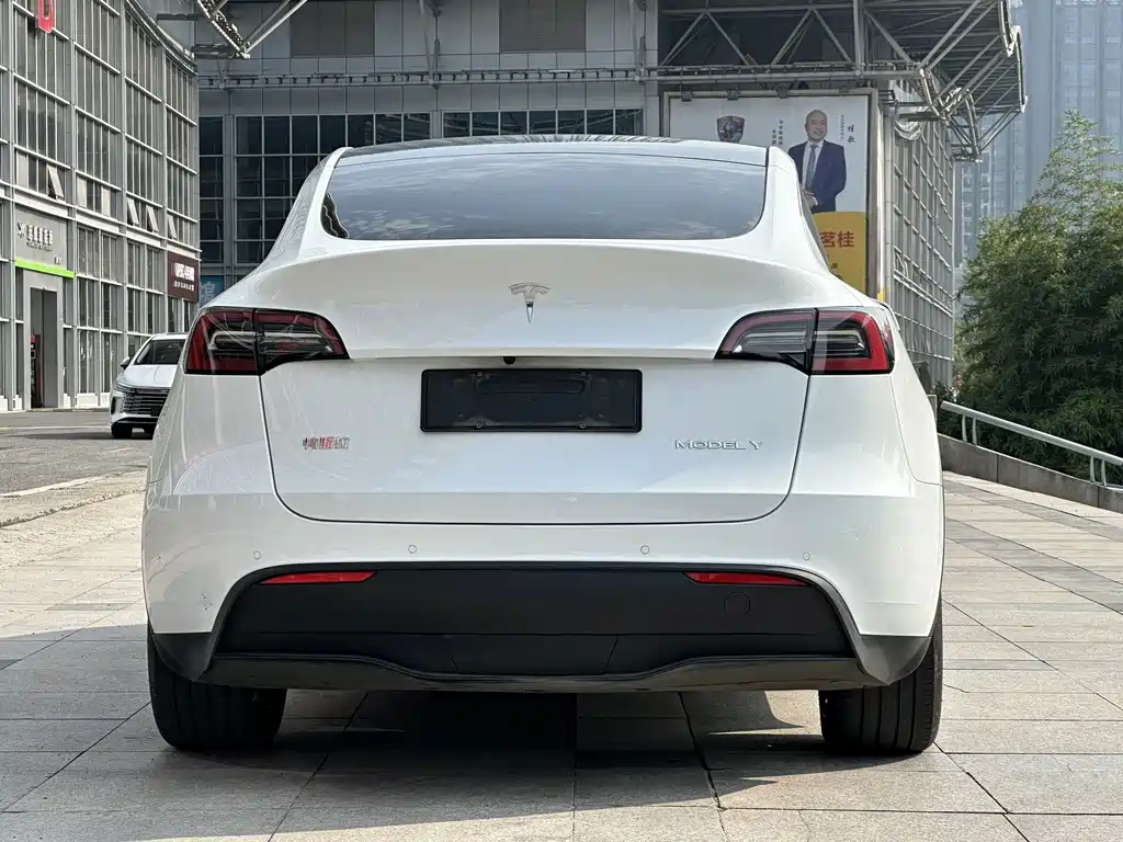 Tesla Model Y — миниатюра 5
