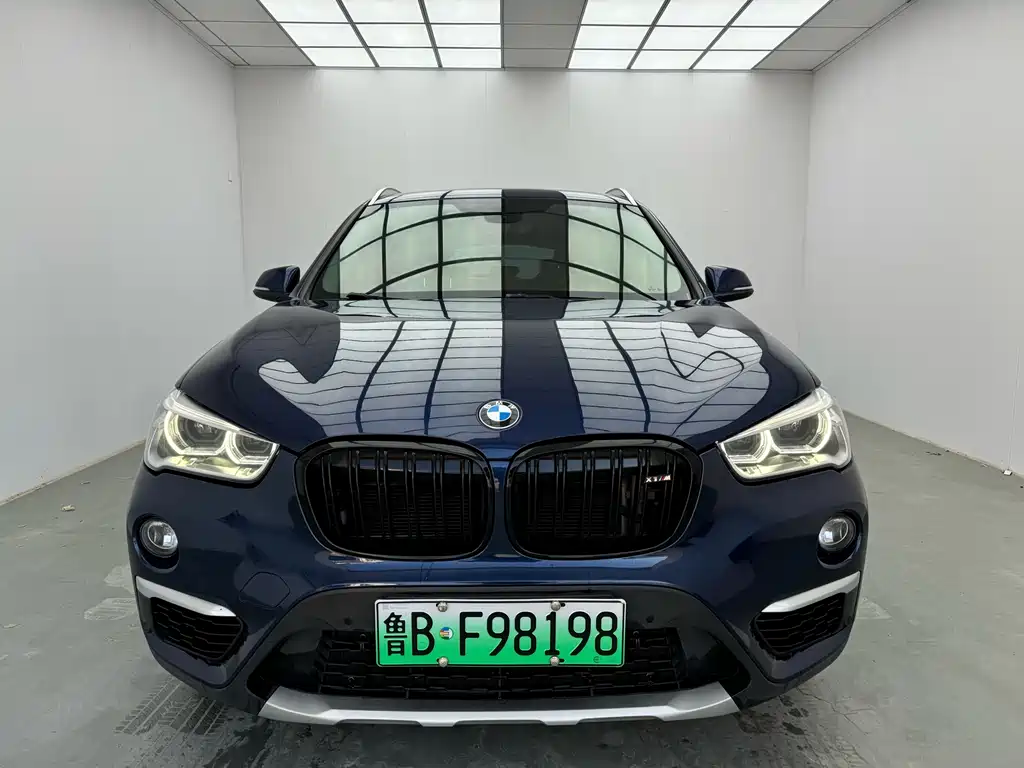 BMW X1 NEW ENERGY