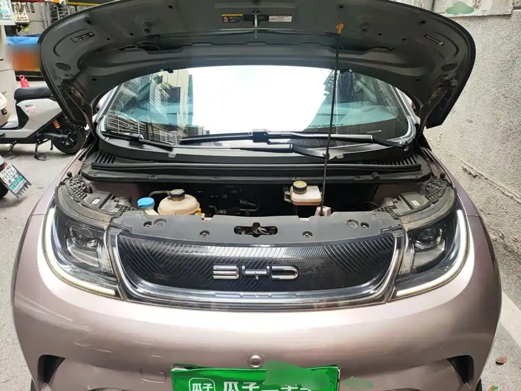BYD Dolphin — миниатюра 16