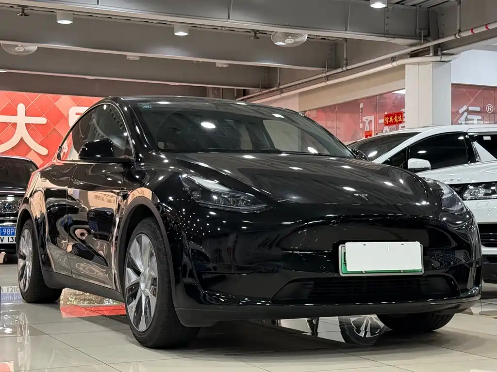 Tesla Model Y — миниатюра 3