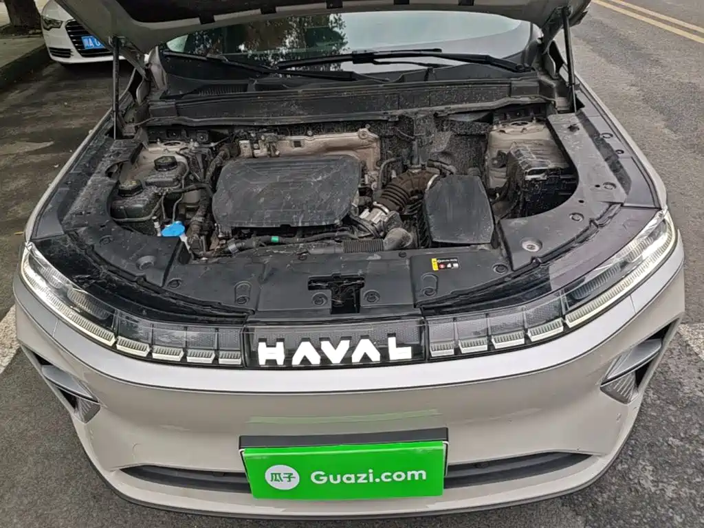 Haval Xiaolong MAX — миниатюра 20