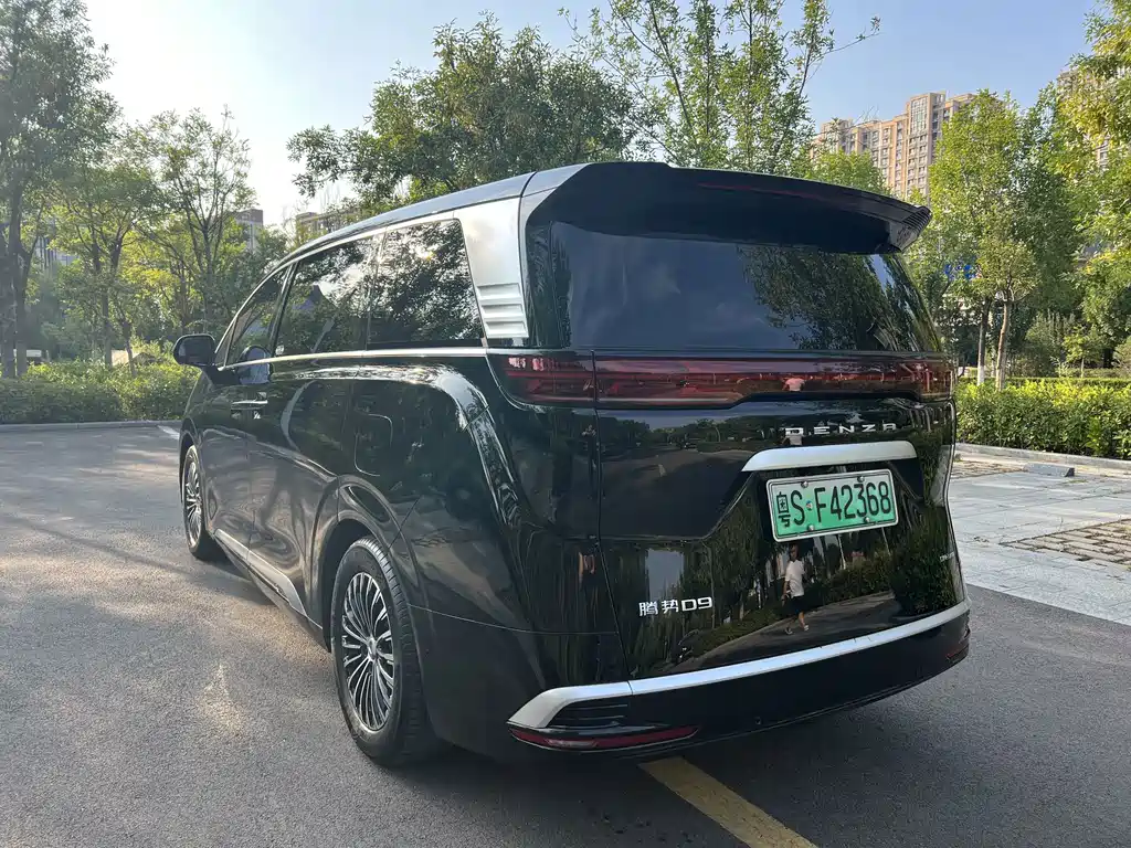 Denza Denza D9 — миниатюра 6