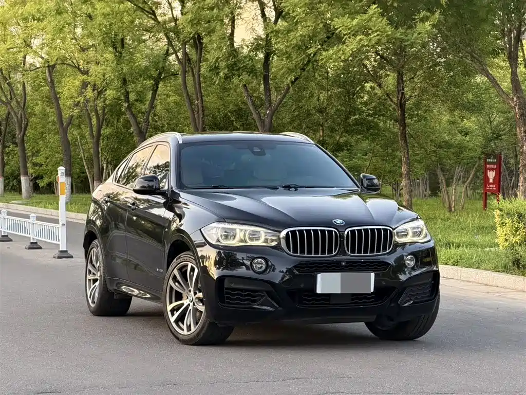 BMW X6 2015 xDrive50i M Sport