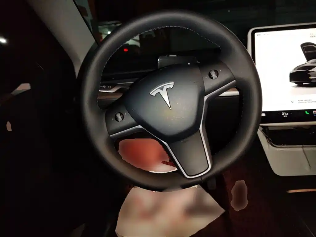 Tesla Model Y — миниатюра 11