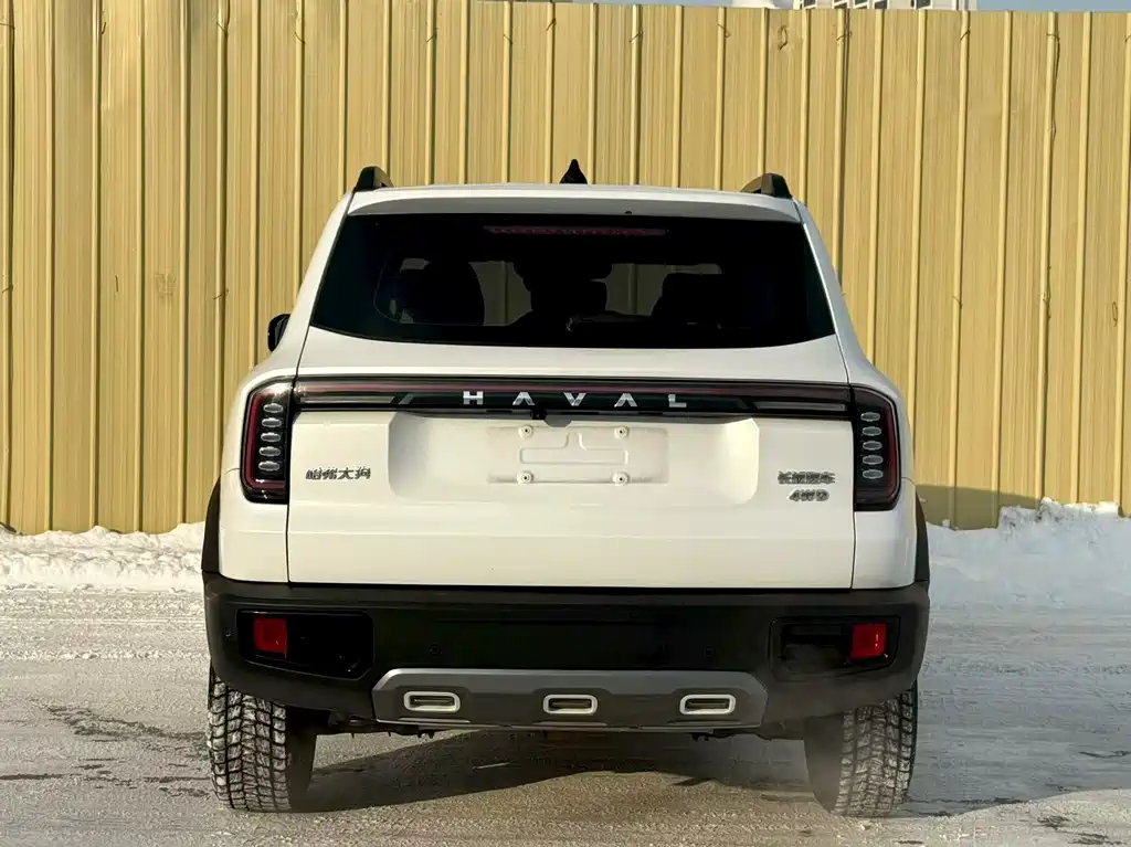 HAVAL BIG DOG