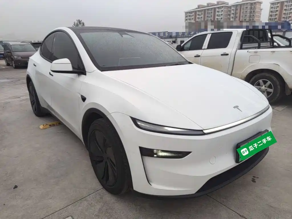 Tesla Model Y — миниатюра 4