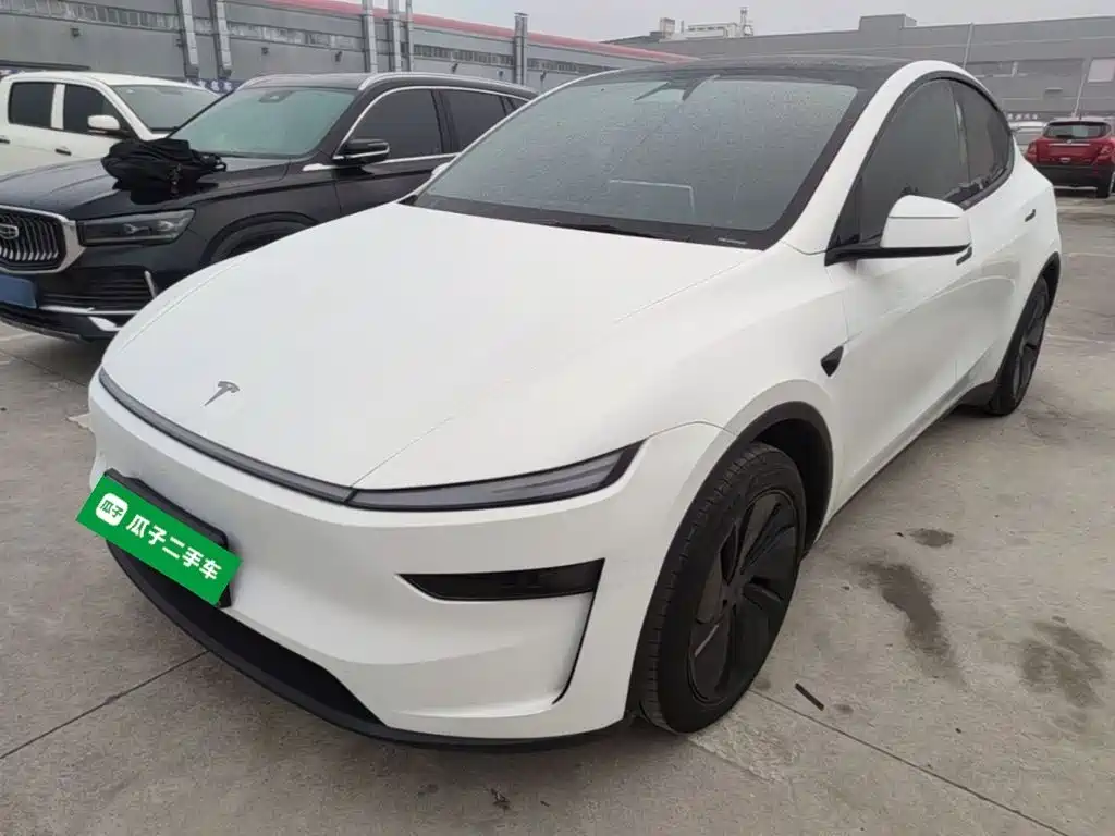 Tesla Model Y — миниатюра 2