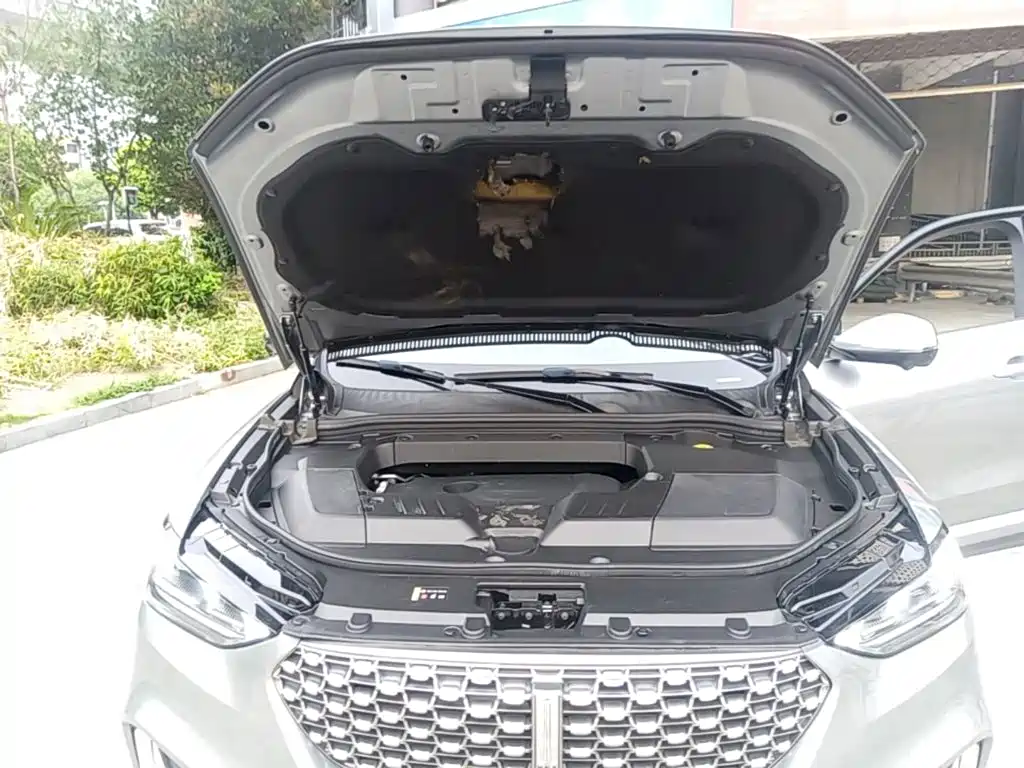 Wey Wey VV6 — миниатюра 20