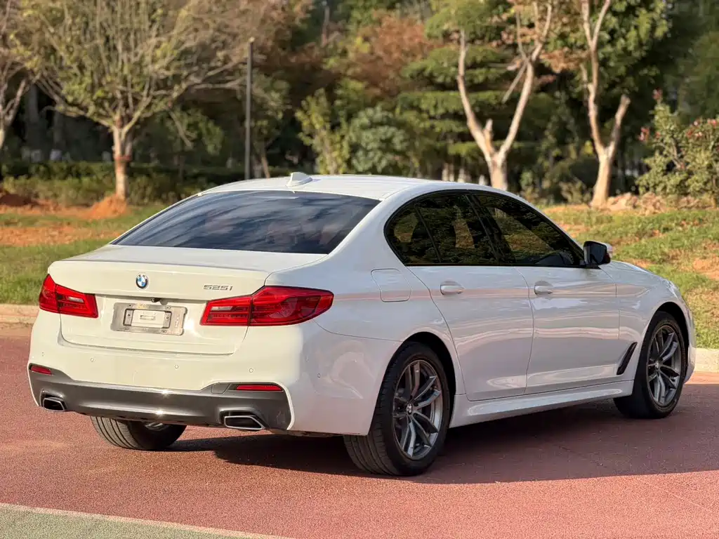 BMW 5 Series (Import) — миниатюра 6