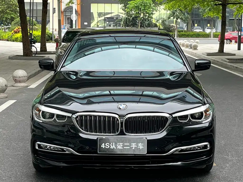BMW 5 Series 5 2018 530Li Lead Luxury
