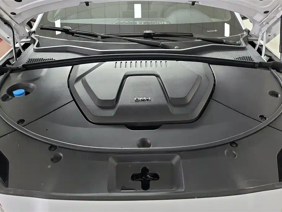 BYD SONGJIANG NEW ENERGY