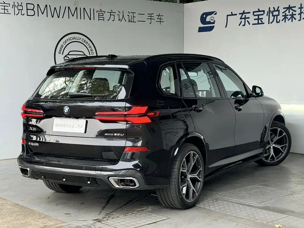 BMW X5 — миниатюра 8