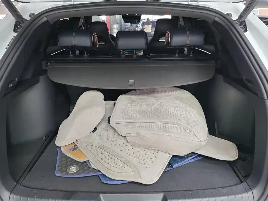 BYD SONGJIANG NEW ENERGY