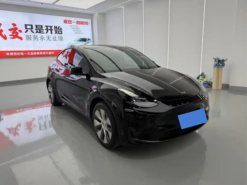 Tesla Model Y — миниатюра 3
