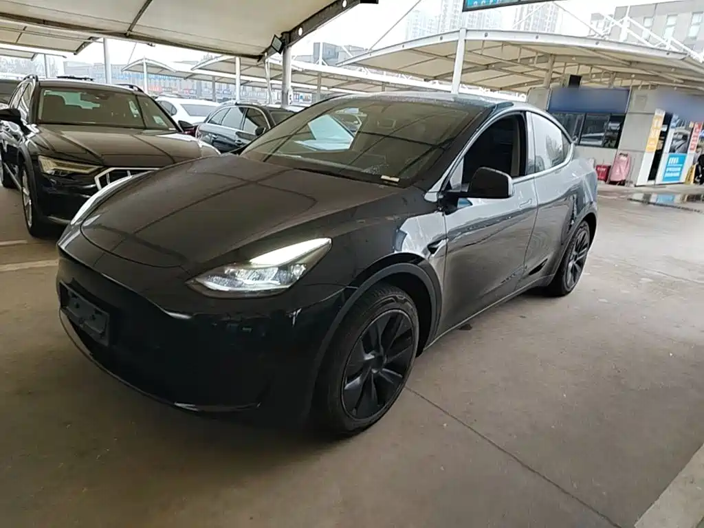 Tesla Model Y — миниатюра 2