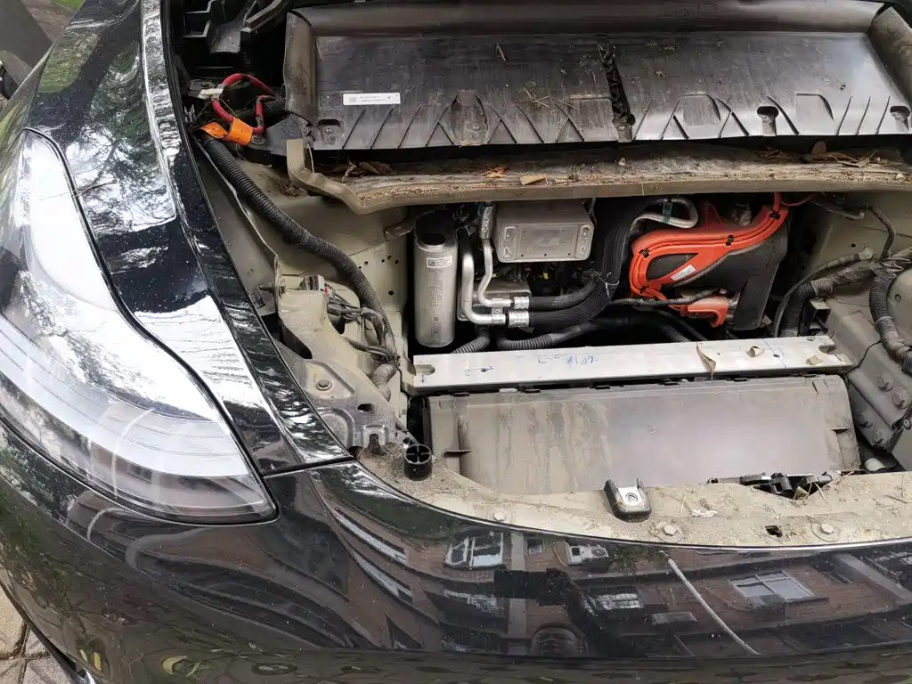 Tesla Model Y — миниатюра 20