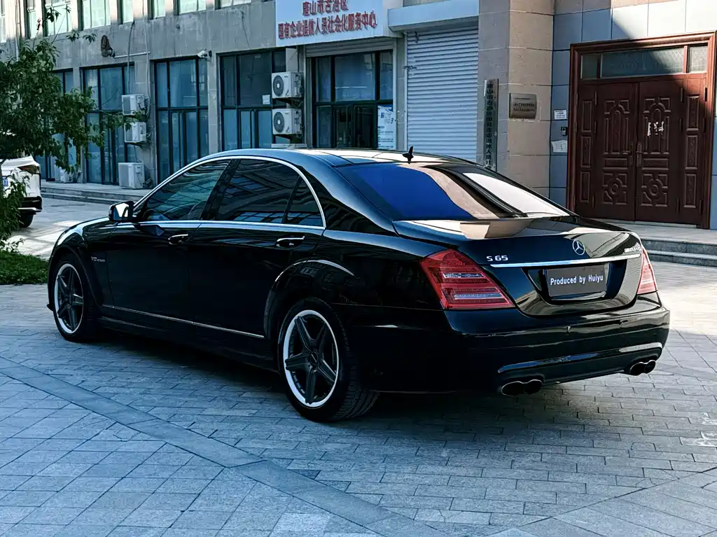 Mercedes-Benz S-Class A MG S AMG 2010 AMG S 65