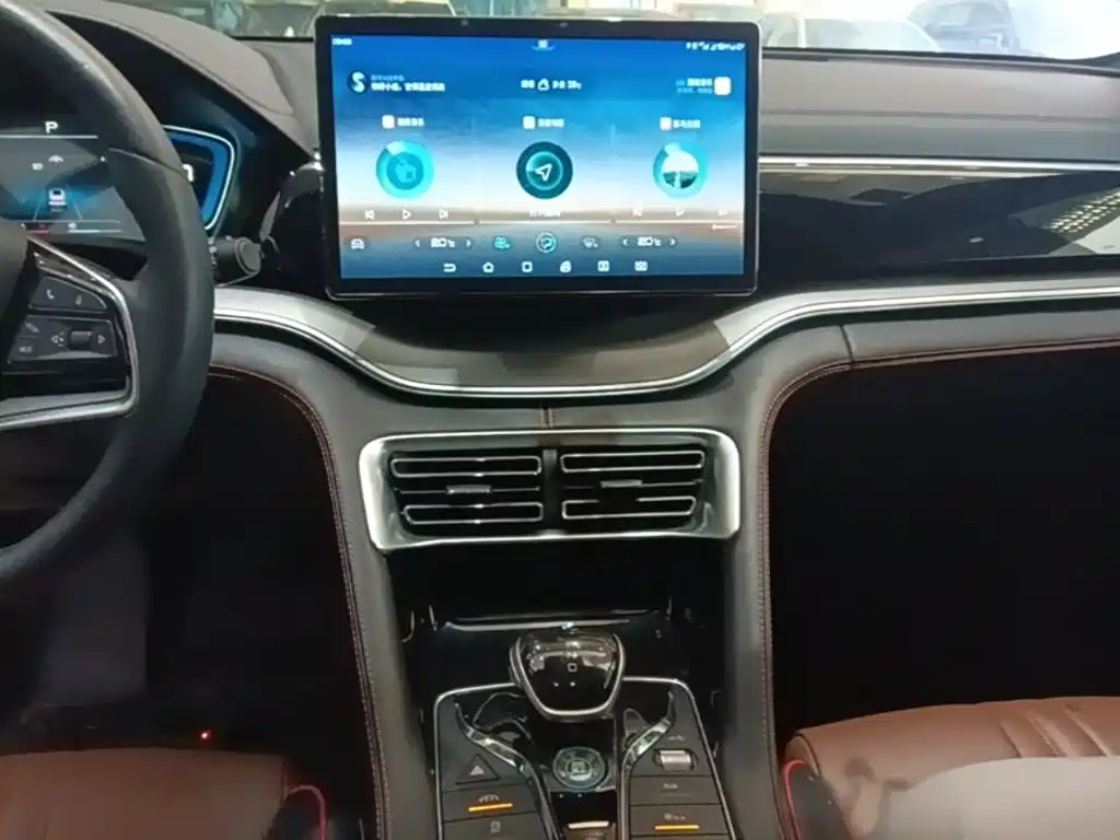 BYD PLUS — миниатюра 13