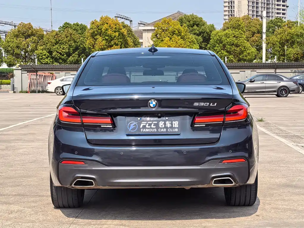 BMW 5 Series 5 2019 530Li Premium M Sport
