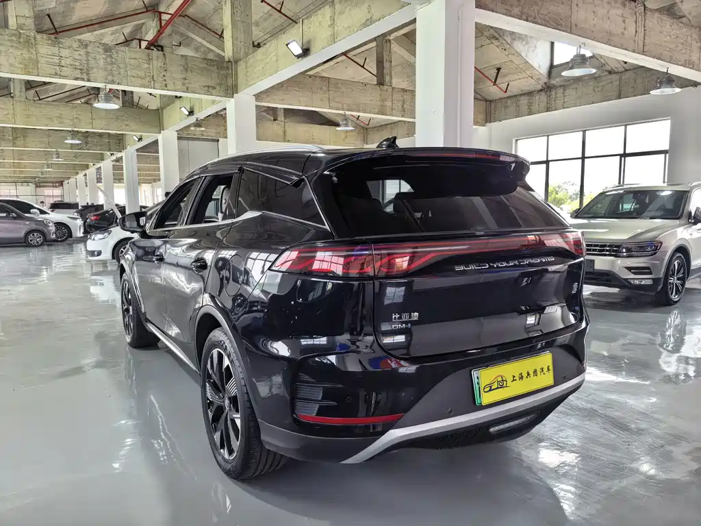 BYD Tang New Energy — миниатюра 24