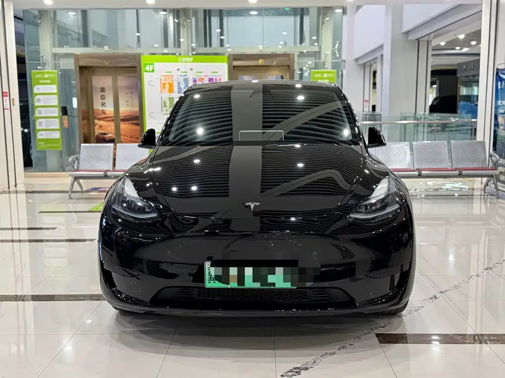Tesla Model Y — миниатюра 2