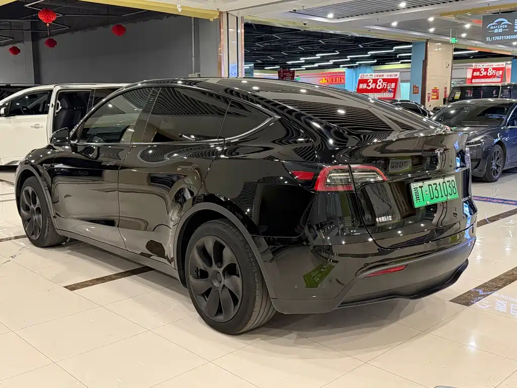 Tesla Model Y — миниатюра 7