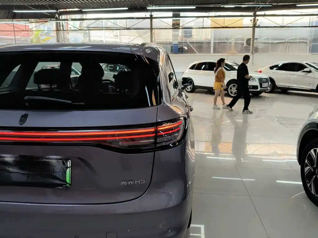 Shangjie Shangjie H5 — миниатюра 24