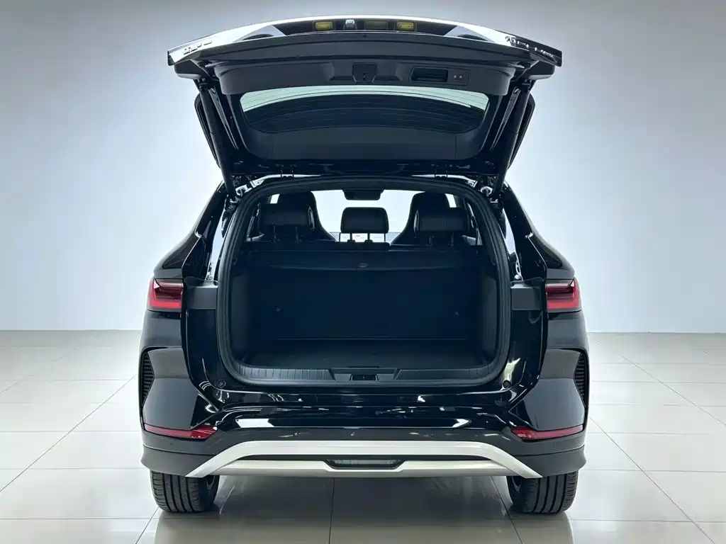 BYD PLUS New Energy — миниатюра 19
