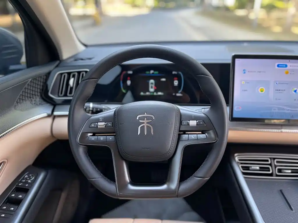 BYD Pro New Energy — миниатюра 20