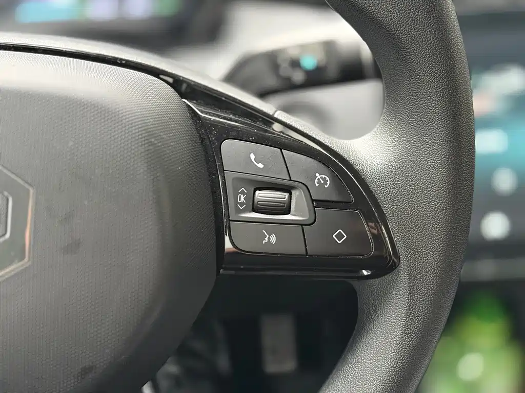 Leapmotor T03 2024 403
