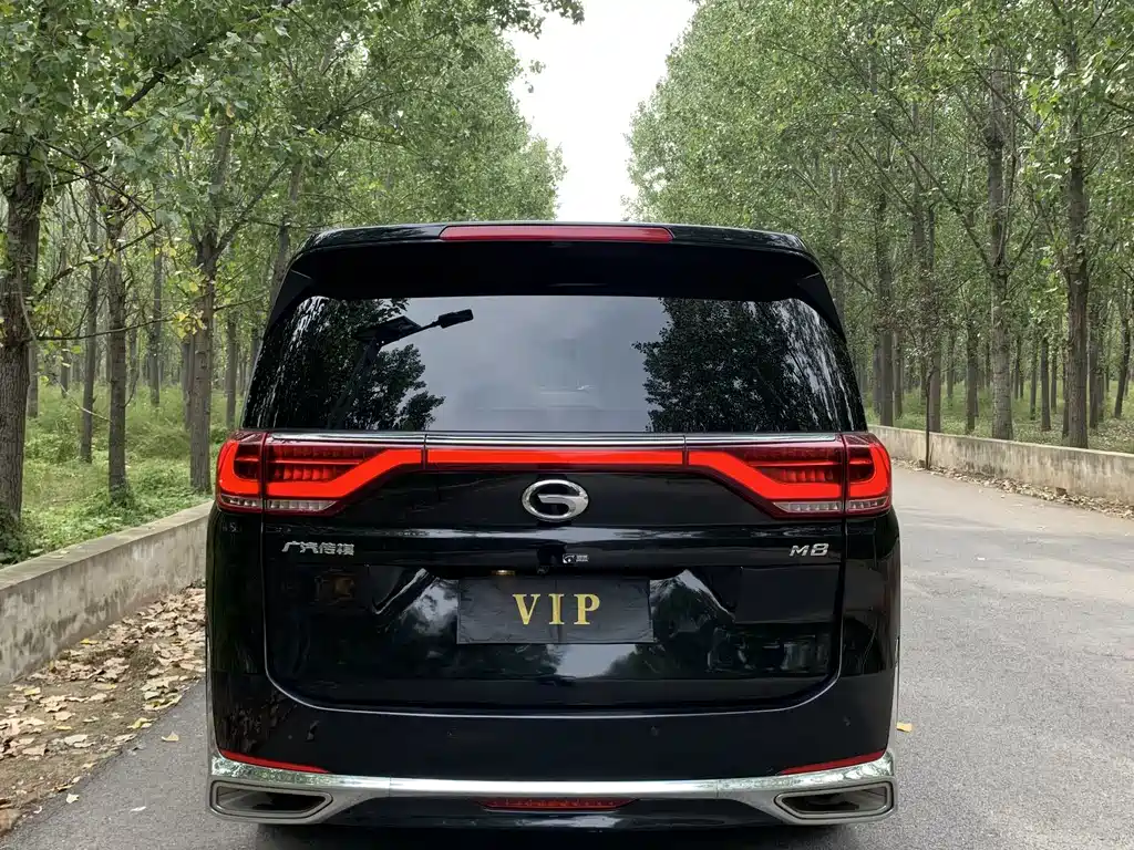 GAC Motor Trumpchi M8 — миниатюра 11