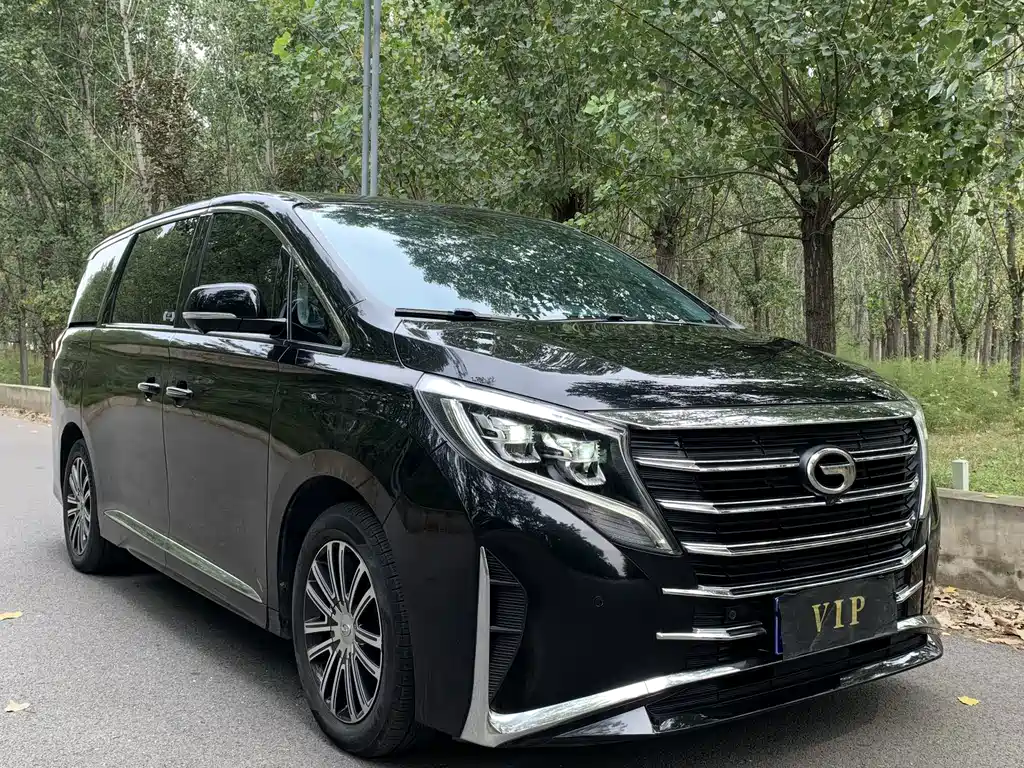 GAC Motor Trumpchi M8 — миниатюра 3