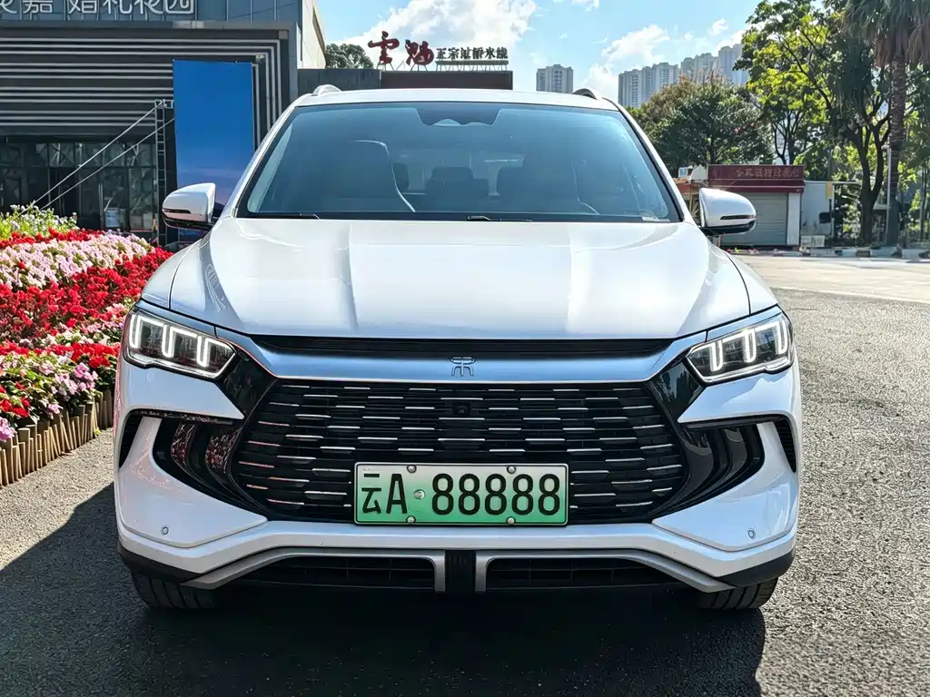 BYD Pro New Energy — миниатюра 2