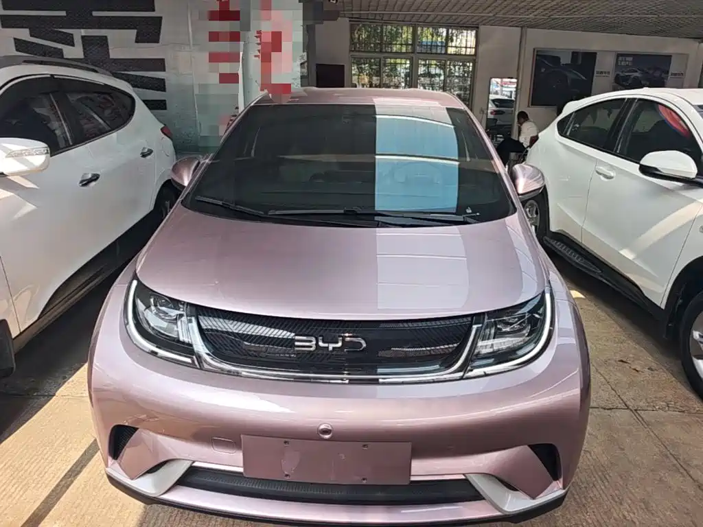 BYD Dolphin — миниатюра 3