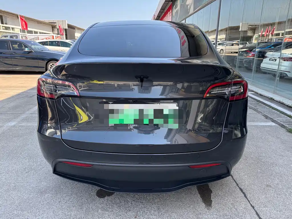 Tesla Model Y — миниатюра 8