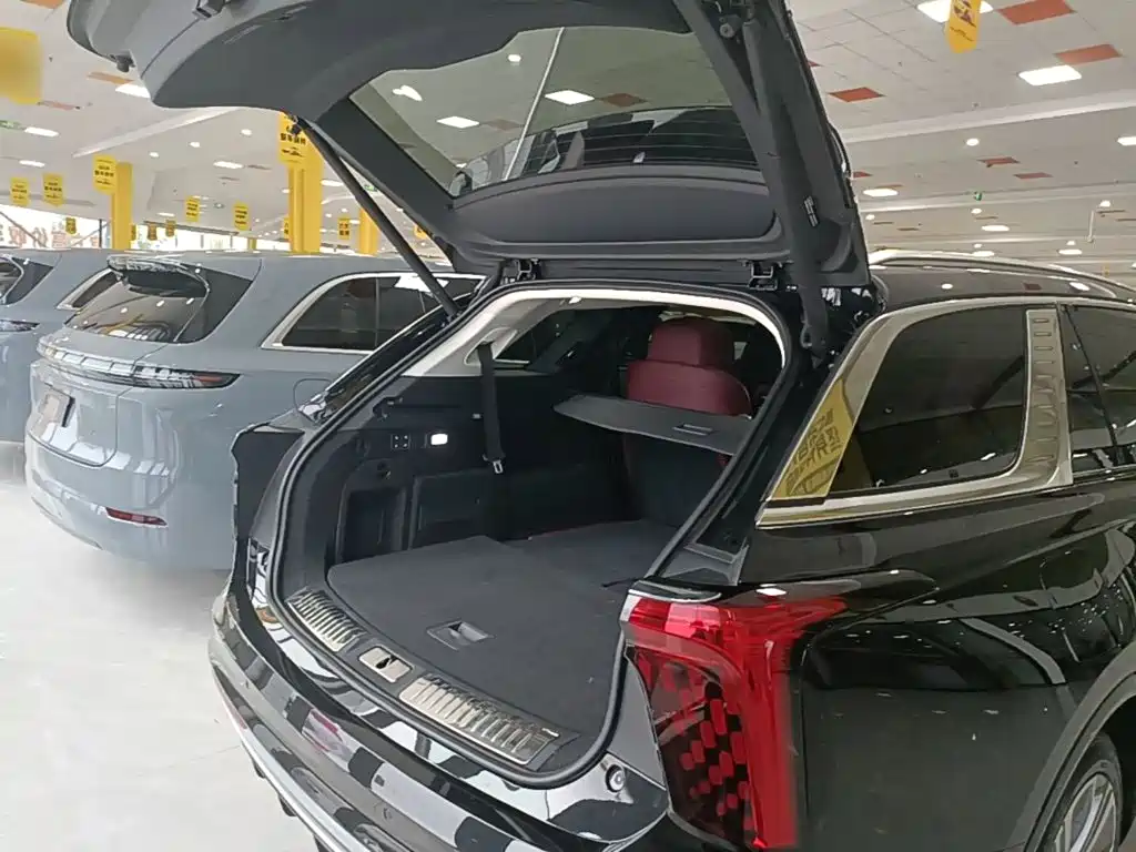 Hongqi Hongqi E-HS9 — миниатюра 19
