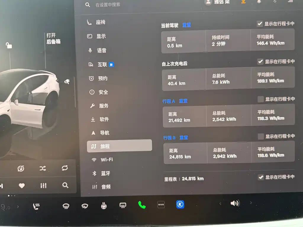 Tesla Model Y — миниатюра 5