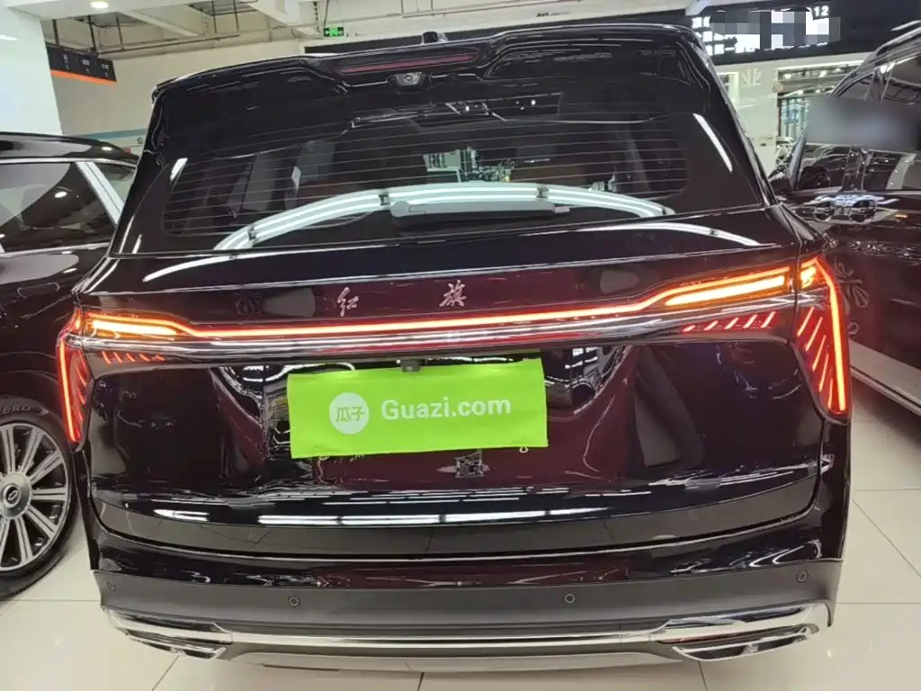 Hongqi Hongqi HS7 PHEV — миниатюра 6