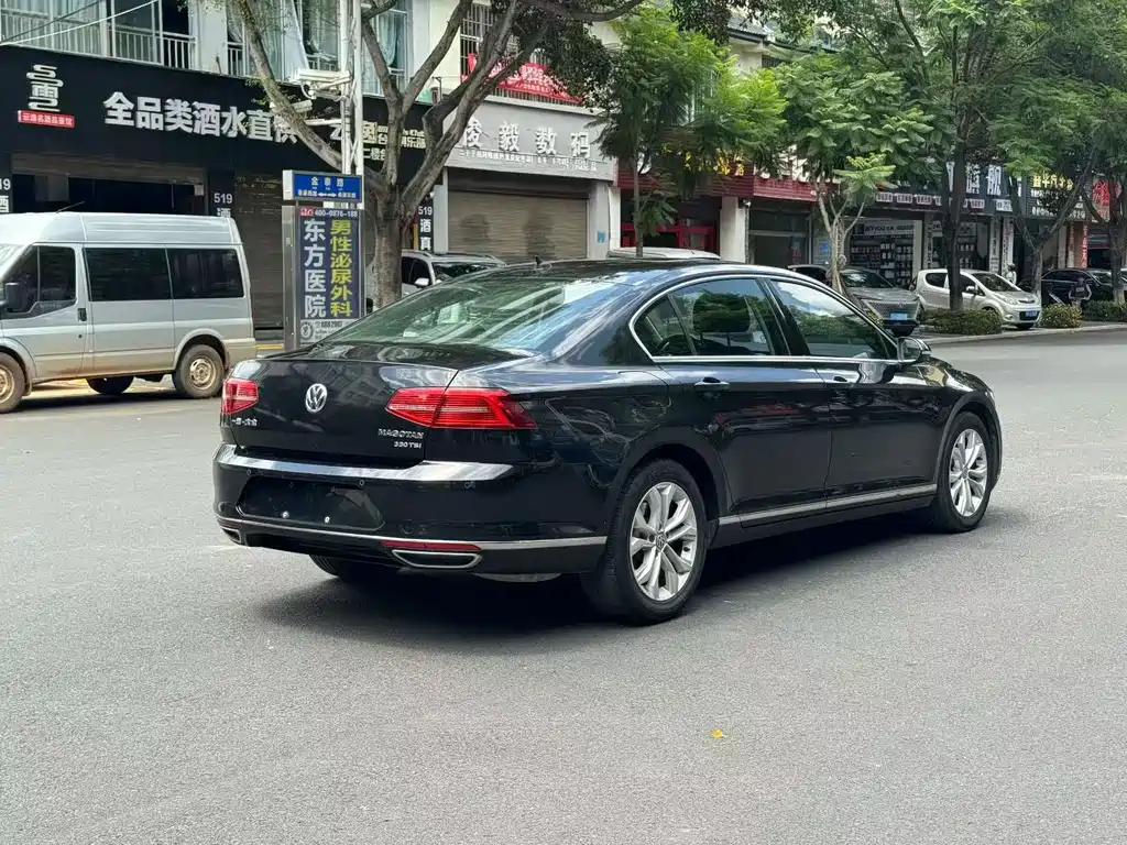 Volkswagen Magotan 2019 330TSI DSG Luxury VI