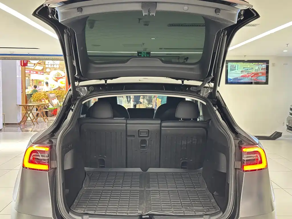 Tesla Model Y — миниатюра 8