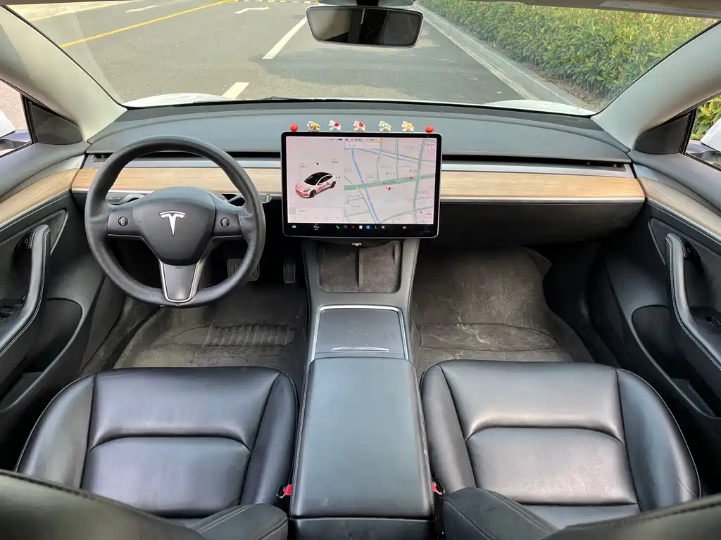 Tesla Model 3 — миниатюра 17