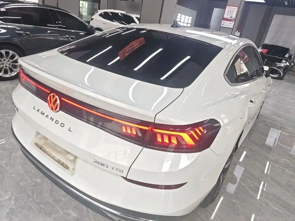 Volkswagen Lamando — миниатюра 7